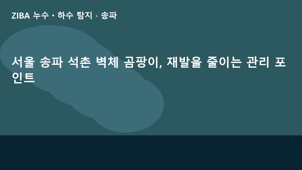 서울 송파 석촌 벽체 곰팡이, 재발을 줄이는 관리 포인트