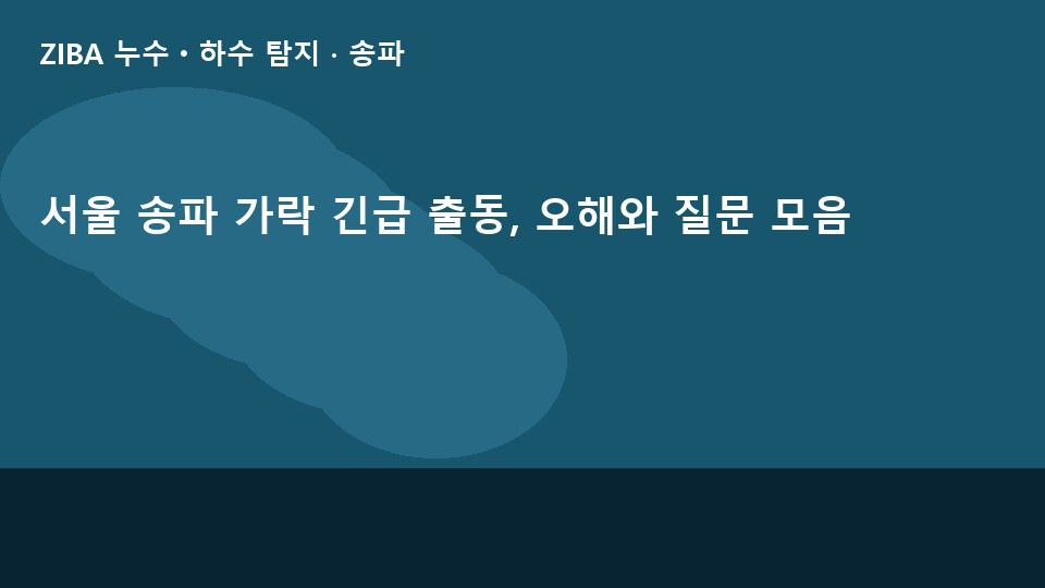서울 송파 가락 긴급 출동, 오해와 질문 모음