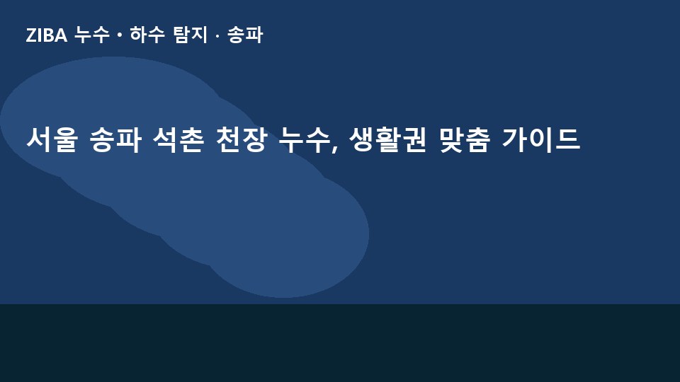 서울 송파 석촌 천장 누수, 생활권 맞춤 가이드