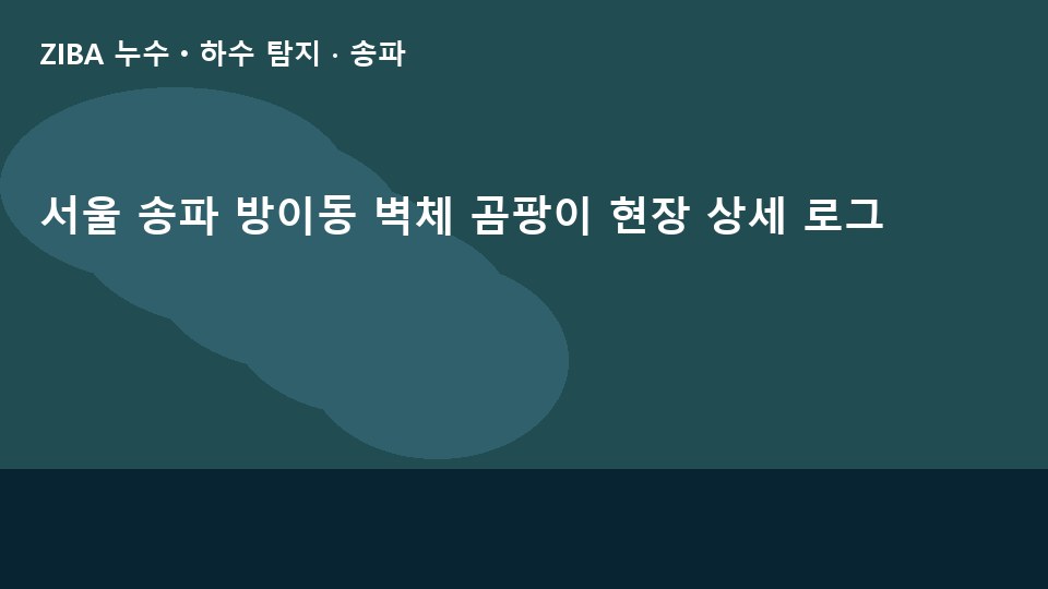 서울 송파 방이동 벽체 곰팡이 현장 상세 로그
