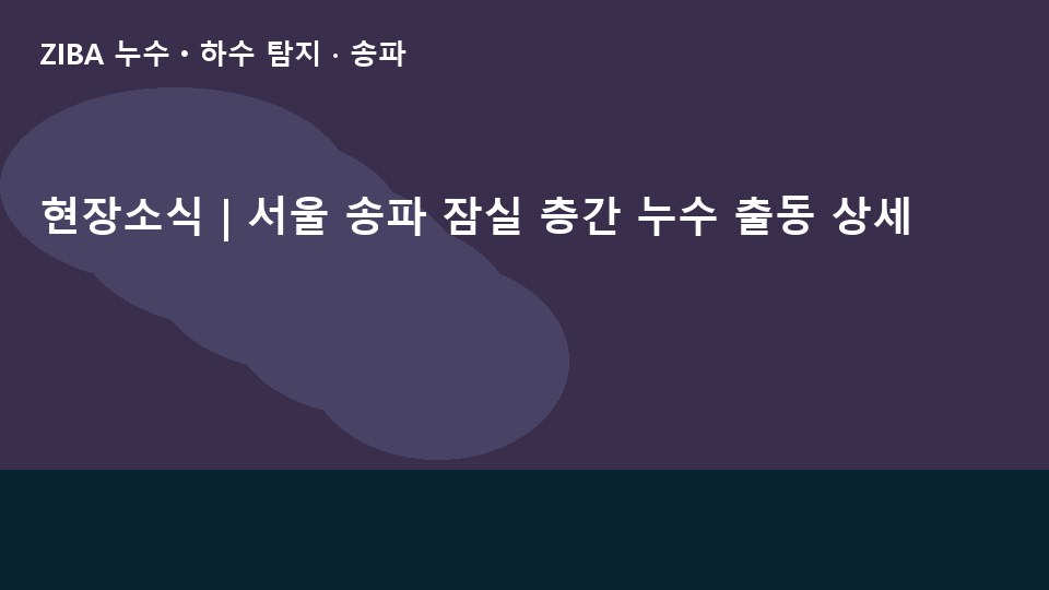 현장소식 | 서울 송파 잠실 층간 누수 출동 상세