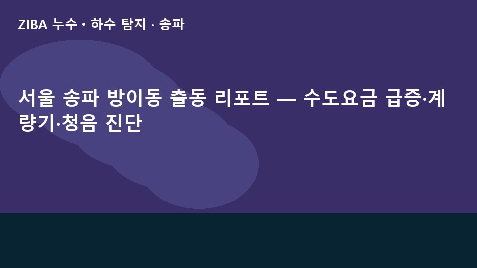 서울 송파 방이동 출동 리포트 — 수도요금 급증·계량기·청음 진단